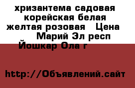 хризантема садовая корейская белая,желтая,розовая › Цена ­ 100 - Марий Эл респ., Йошкар-Ола г.  »    